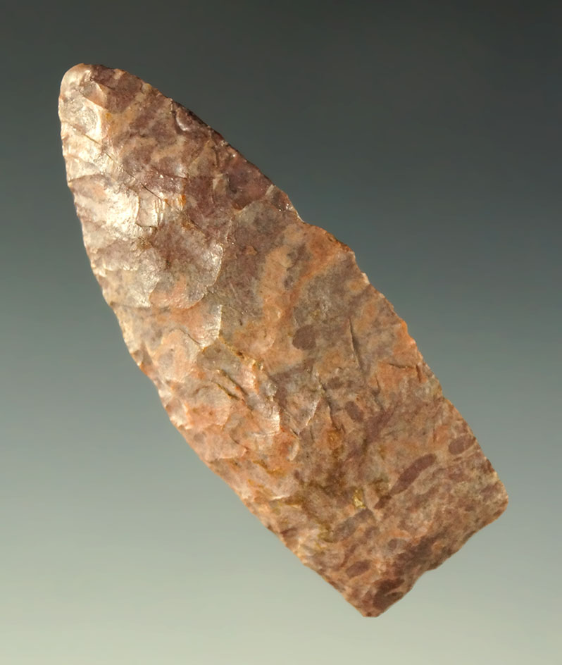 2 5/16" Paleo Lanceolate found in Colorado with slight restoration to one edge. Bennett COA.
