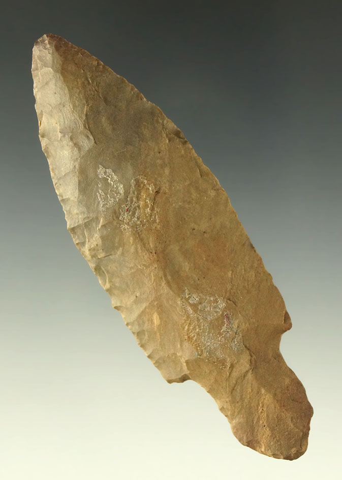 3 5/8" Turkeytail Adena found in Tennessee.