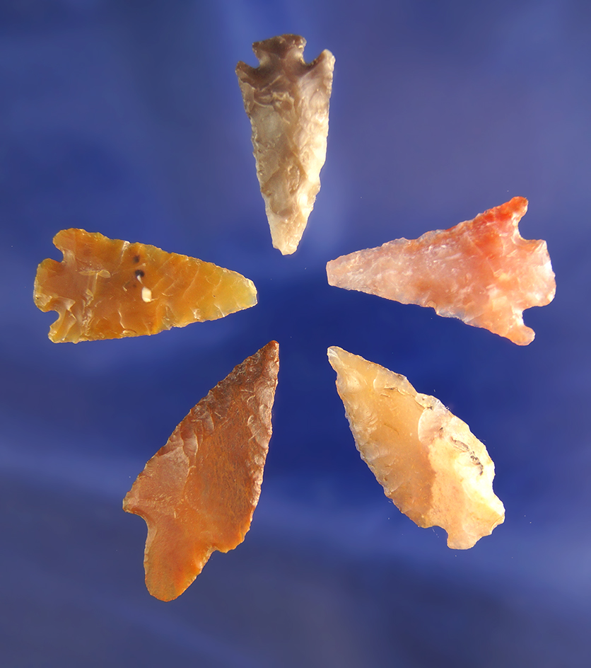 Set of five assorted Columbia River Gempoints, largest is 1 3/16" found in Klickitat County Washingt