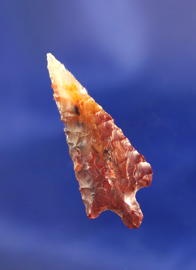 1 5/16" Rabbit Island arrow point made from beautiful multicolored agate - Columbia River, WA.