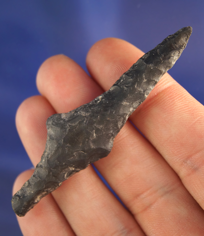 Rare style 2 3/4" Parman Drill found in Warner Valley, Lake County Oregon.