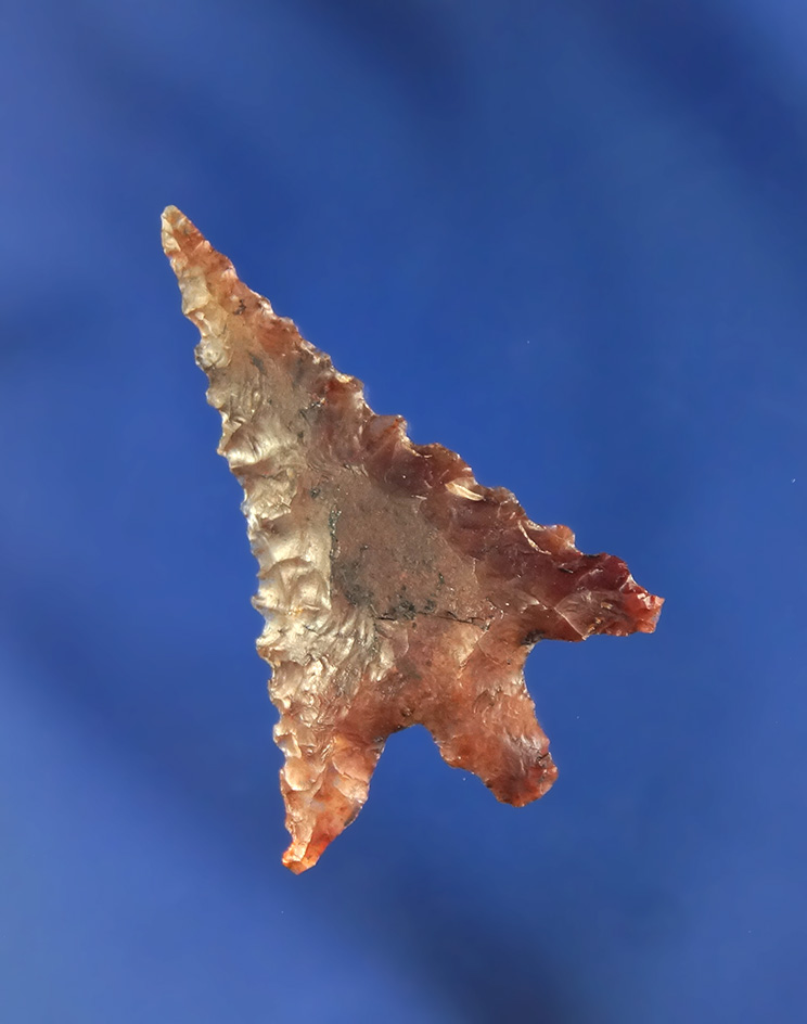 Beautiful 1 1/4" Columbia Plateau Gempoint - semi translucent multicolored agate - Washington.