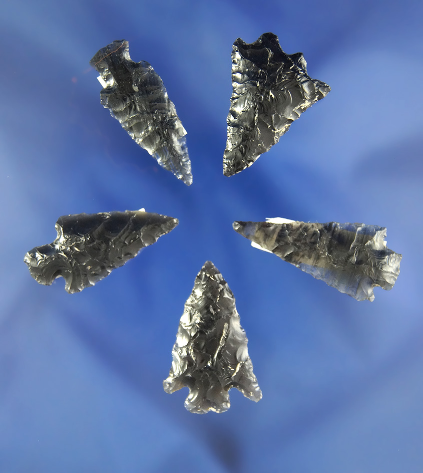 Set of five Obsidian arrowheads found in California and Nevada, largest is 1 1/4".