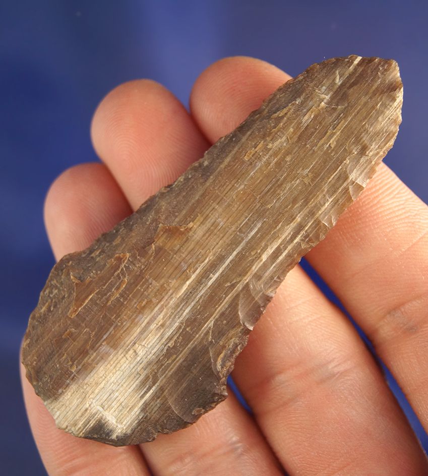 2 11/16" Petrified Wood Wahmuza style Knife  - Klickitat County Washington near the Columbia River.