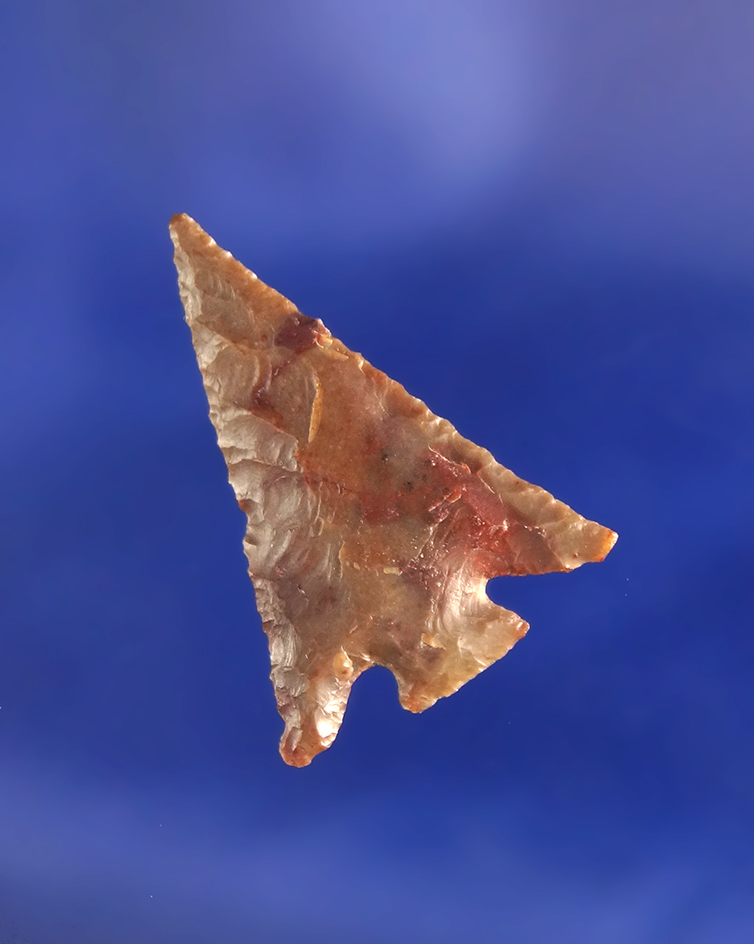 1" Columbia Plateau with exceptional flaking made from Brown Jasper found near the Columbia River