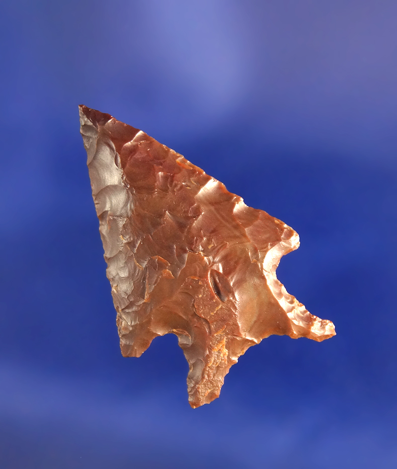 1 3/8" brown Jasper arrowhead with excellent flaking found near the Columbia River, Washington.