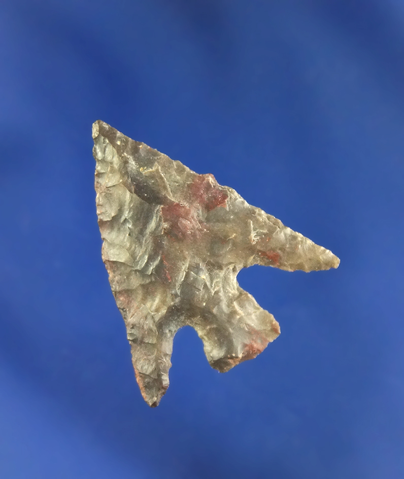 15/16" classic style Columbia Plateau found near the Columbia River, Washington.