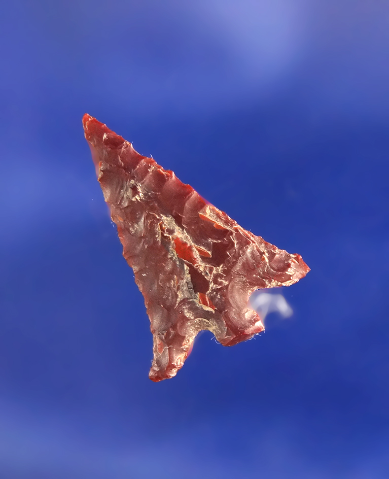 7/8" Columbia Plateau found in Washington.