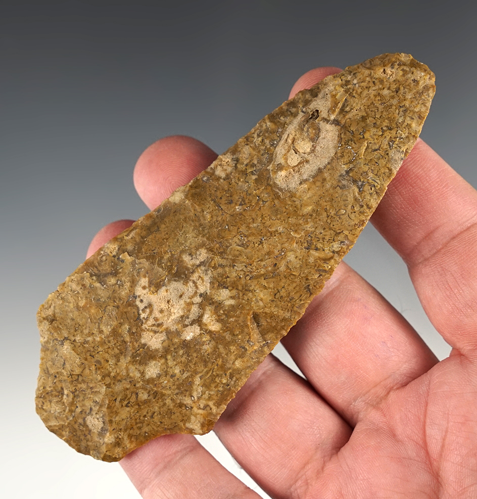 Nice 4 3/8" Bascom Blade found near Brier Creek, Burke Co., Georgia.