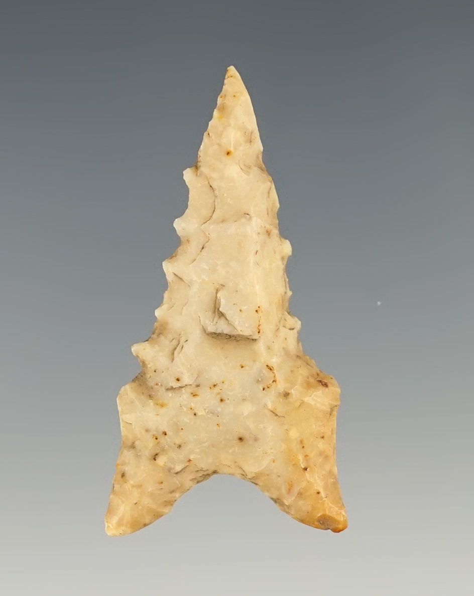 1 3/4" heavily beveled Dalton found in Arkansas. Has an inpact fracture to one side of the tip.