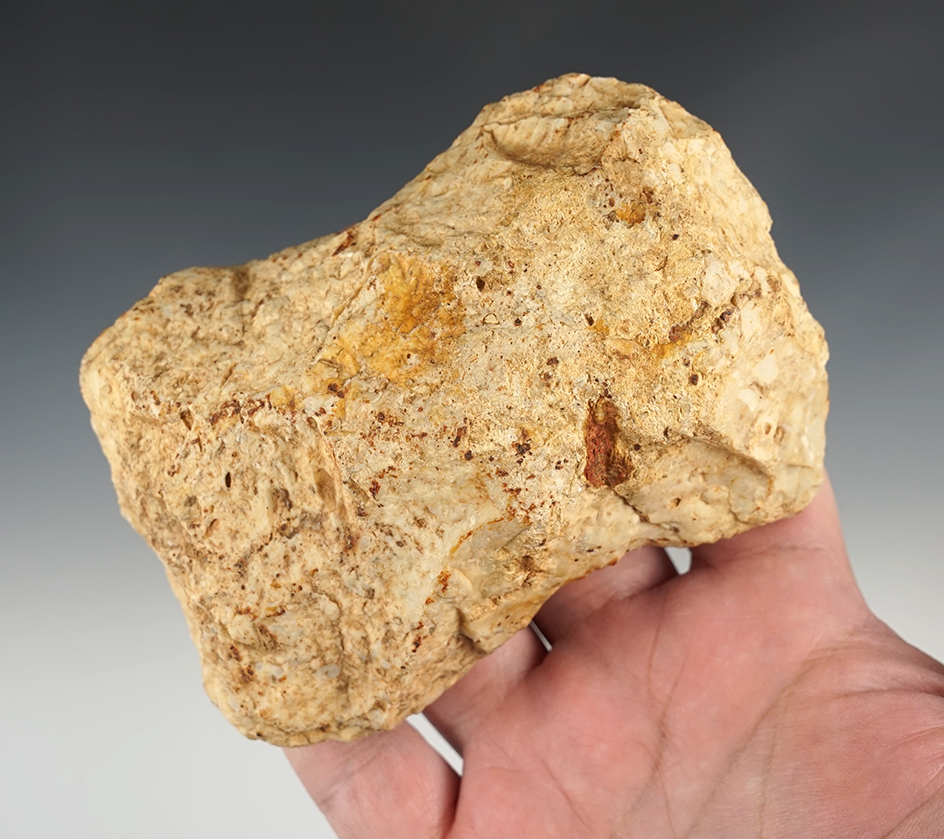 4 7/16" Guilford Axe found in Burke Co., Georgia.