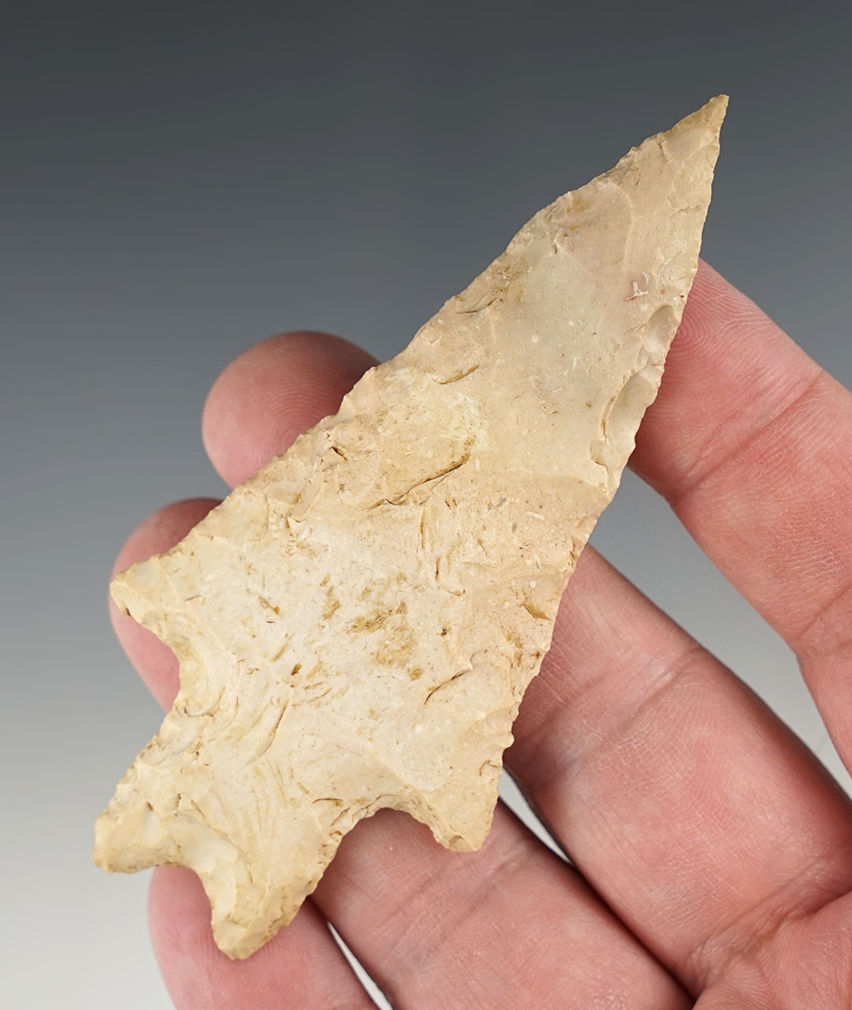 3 5/8" Pedernales found in McLennan Co., Texas on the Brazos River by Pete Rocket. COA's.