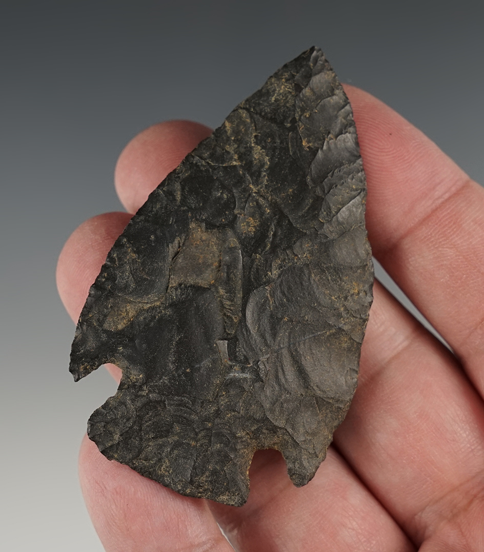 Nicely styled 2 3/4" Big Creek found in Arkansas.