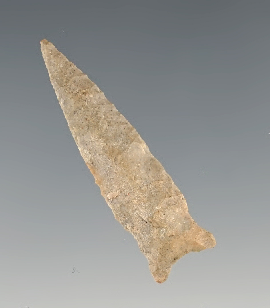 Fine 1 9/16" Bayogoula found in Arkansas.