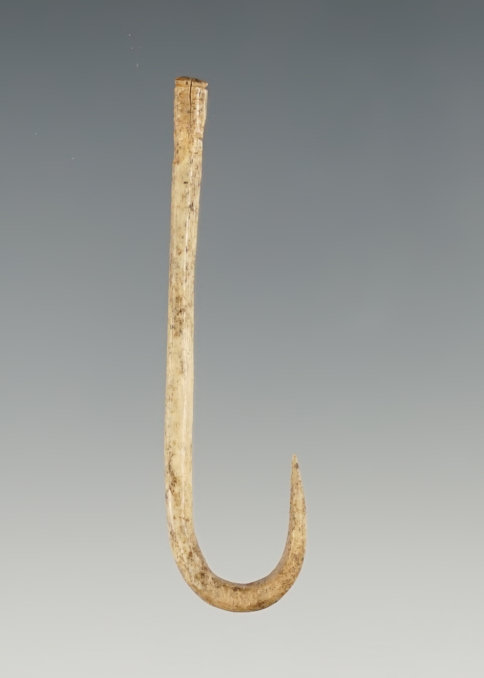 Superb 2" Bone Fish Hook found in Kentucky.