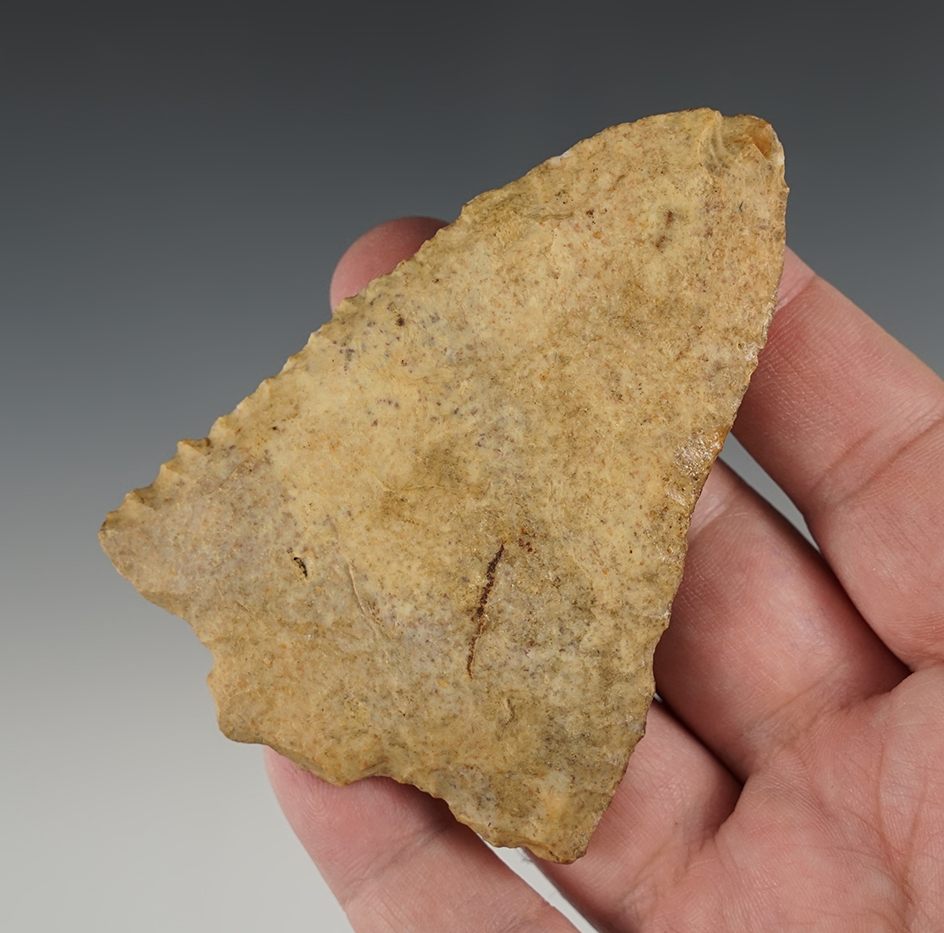 Well patinated 3 9/16"  Abby found in Laurens Co., Georgia.