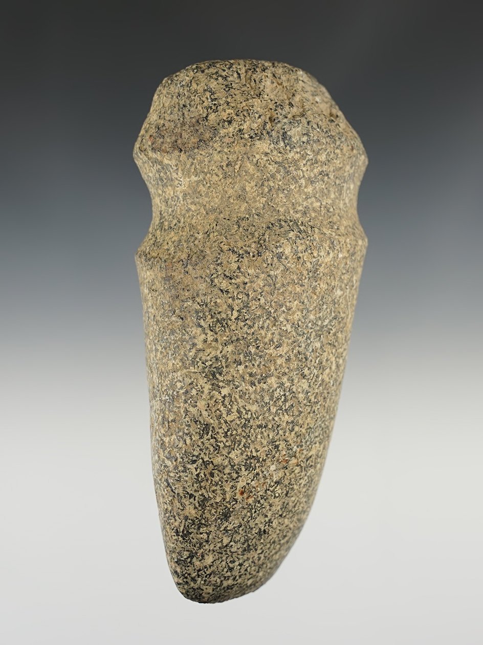 6" long 3/4 Grooved Axe found in Ohio. Some damage to the pole end but still displays well.