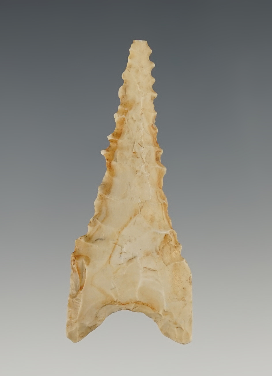 2 5/16" Nicely serrated Dalton found in Greene Co., Arkansas. Made from Crowley Ridge.