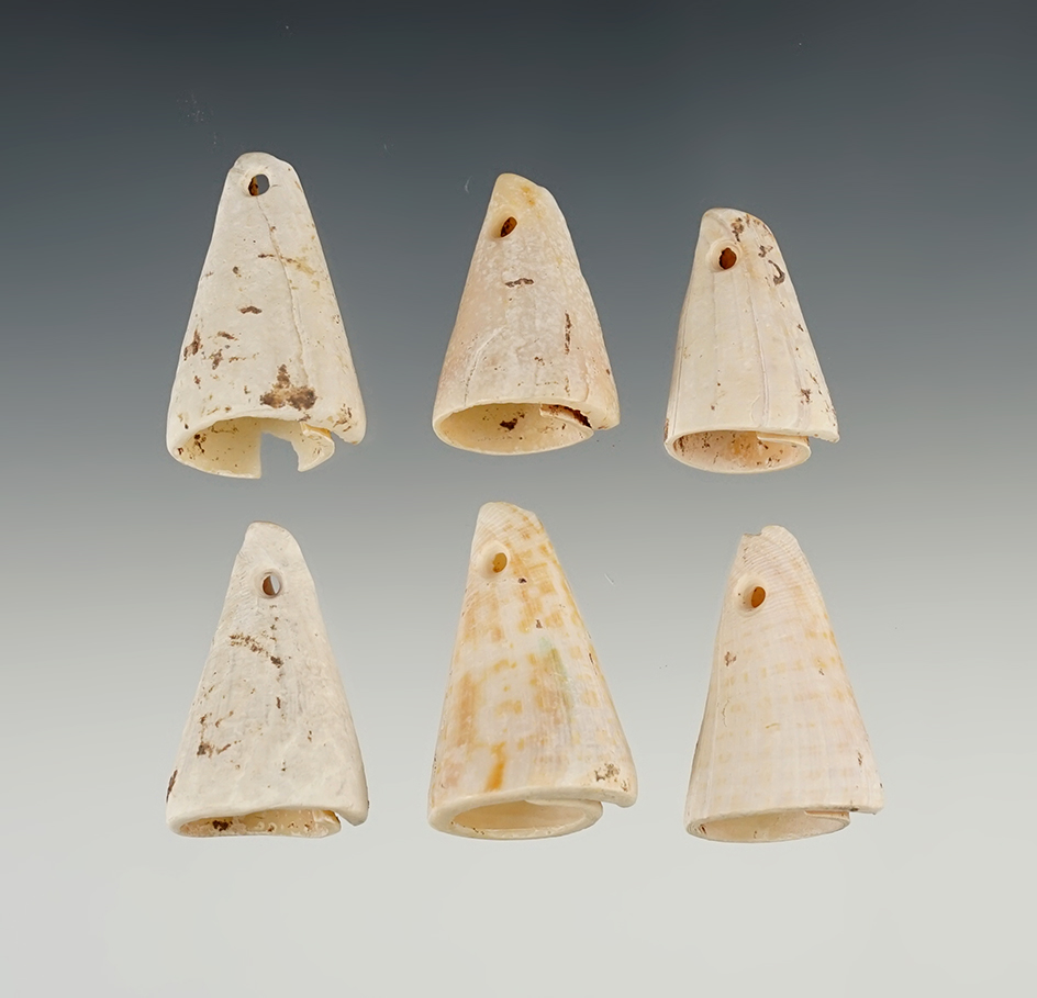 Set of 6 well styled drilled Shell Dangles/Ornaments found in New Mexico. Largest is 1 3/8".
