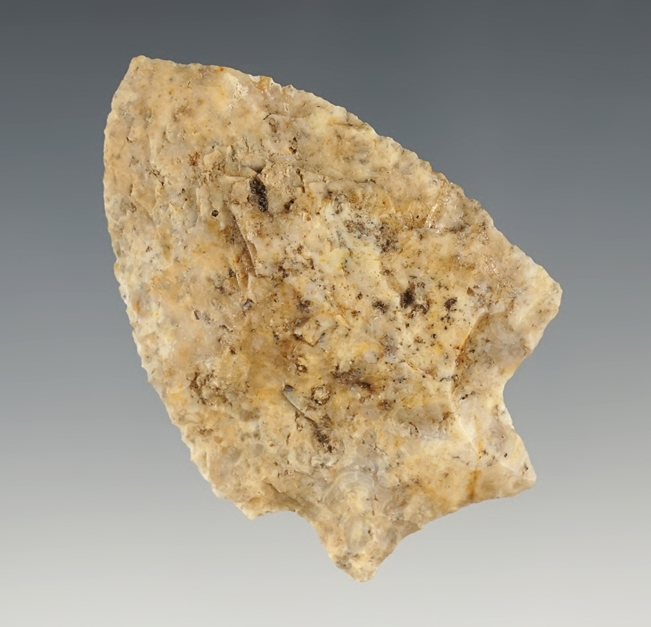 Lightly Serrated 2 1/2" Wacissa found in Southwest Georgia.