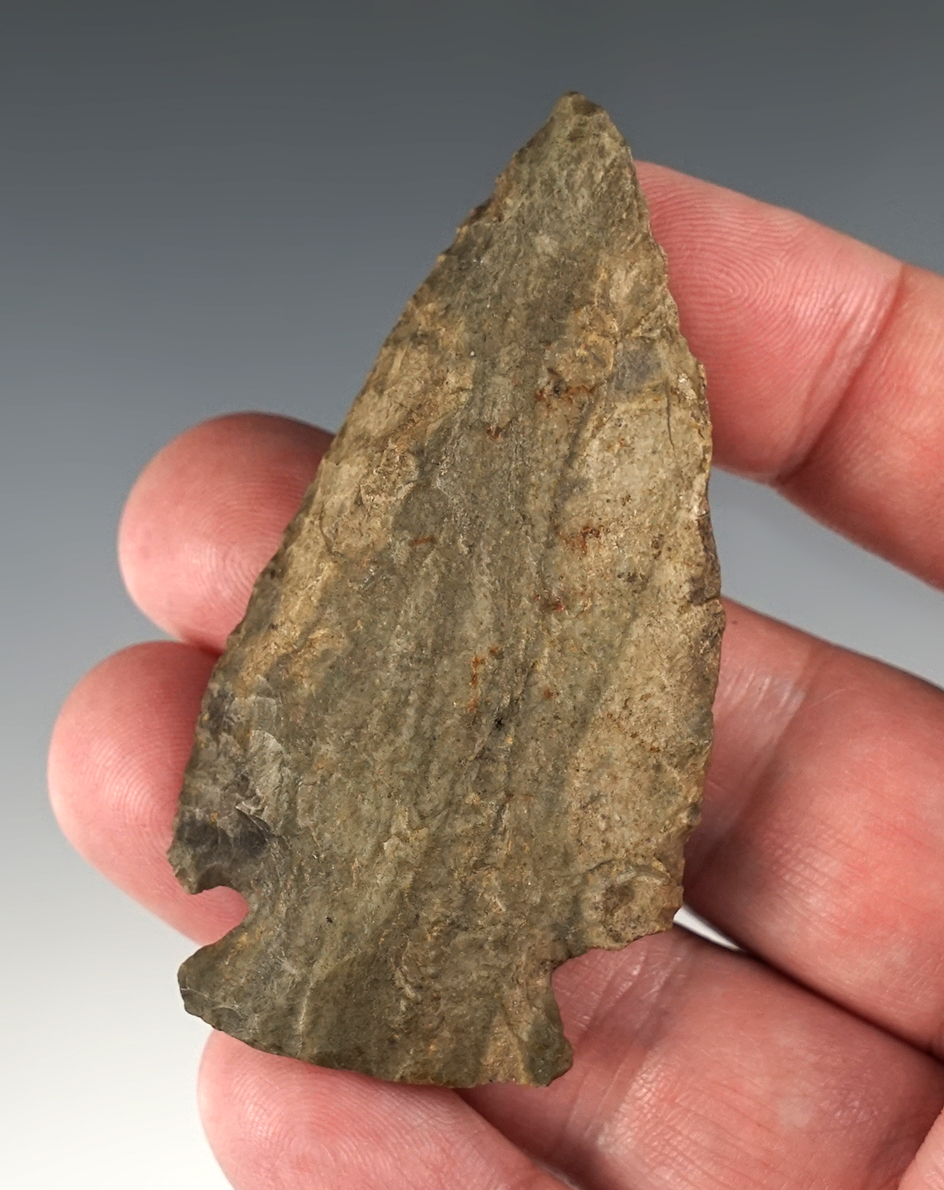 2 13/16" Beveled Dovetail that is heavily patinated. Found in Indiana.