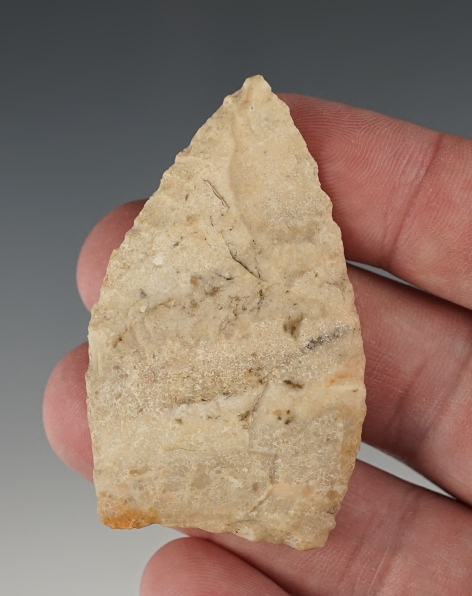 2 5/16" Meserve found between 1941-44 by Jack Davis North of Walsh, Baca Co., Colorado. COA.