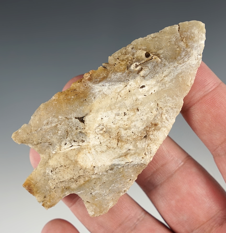 Well made 3 1/2" Levy found in Jackson Co., Florida.