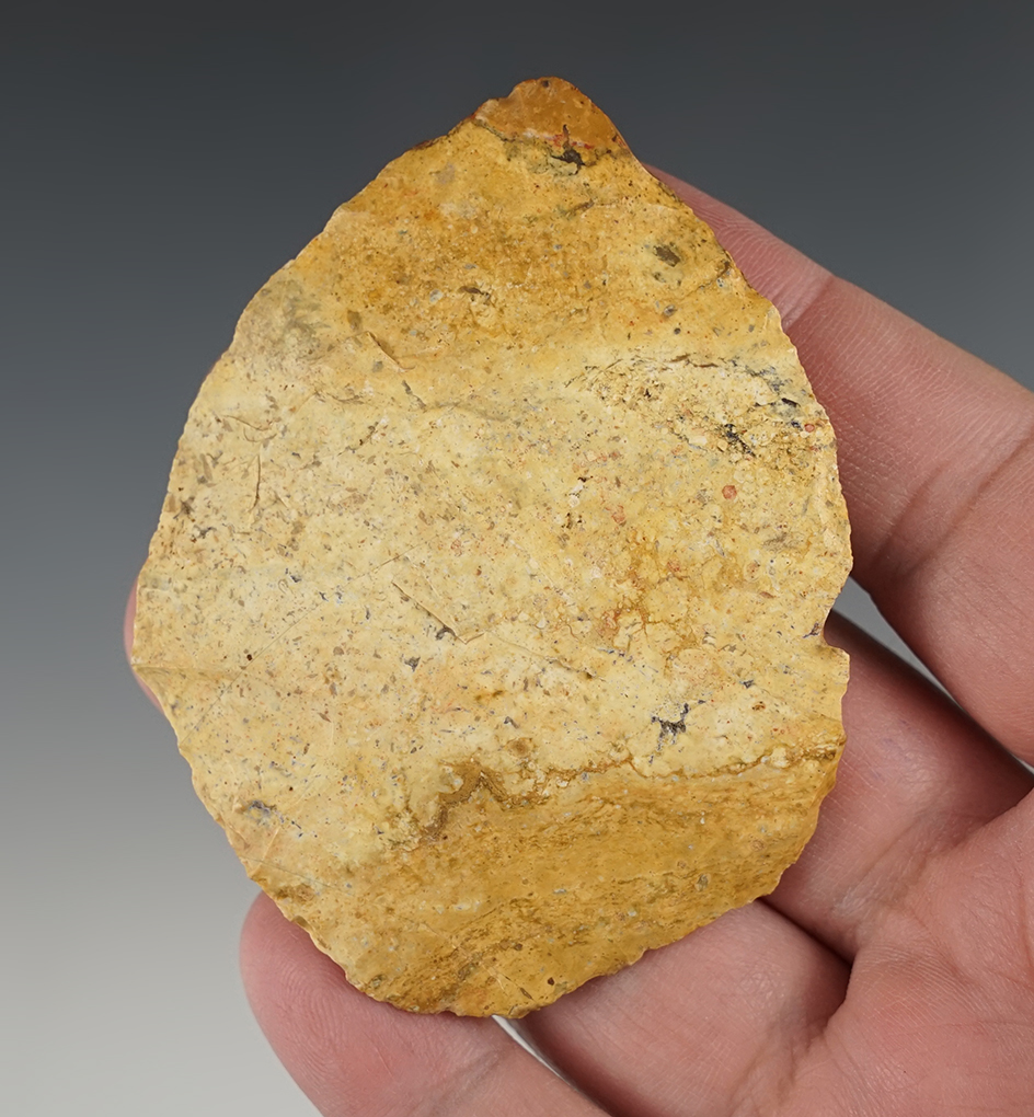 3 1/8" Ovate Blade found in Taylor Co., Georgia.