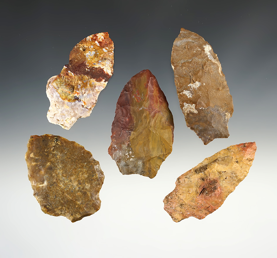 Set of 5 Late Archaic Points found in Albany, Georgia. The largest is 3 1/8".