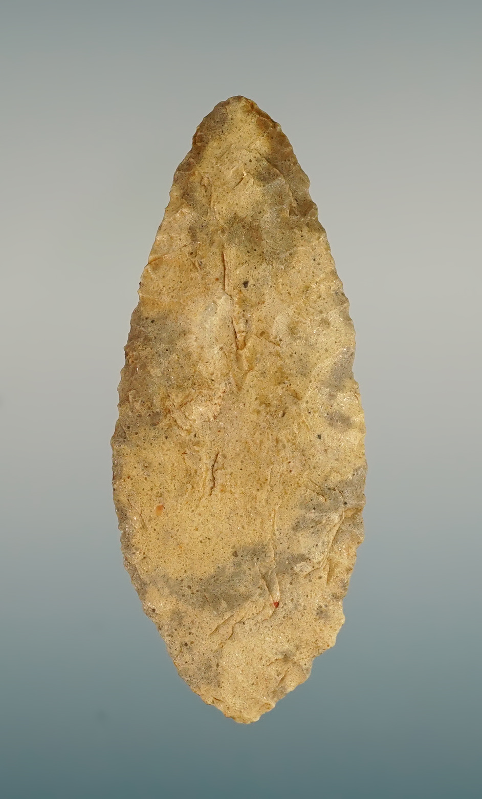 2 1/2" Shoshone Knife that is well patinated. Recovered in Colorado. 