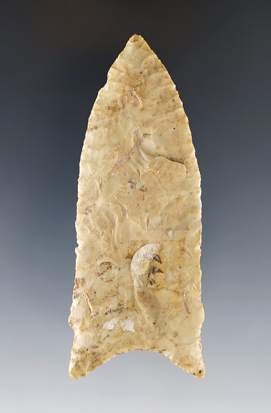 Thin and finely made 3 7/16" Holland. A few very small dings have been restored.