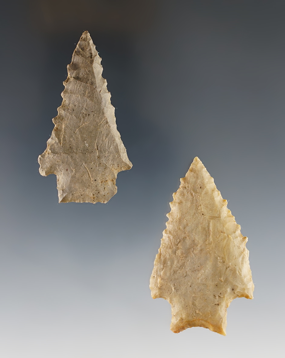 Pair of finely serrated Kirk points found by Joseph Dillion in Calloway Co., Kentucky. 