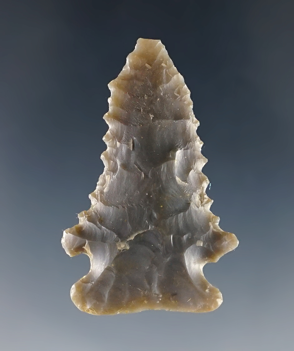 1 7/16" Unfractured Decatur Point with fine serrations. Found in Kentucky.