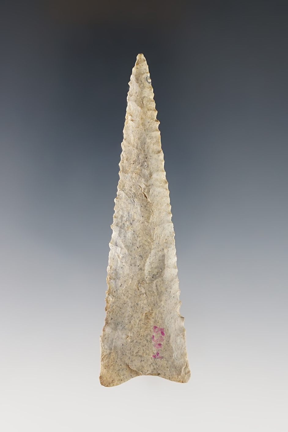 3 11/16" Dalton found in Bond Co., Illinois. Finely serrated and made from Boone Chert.