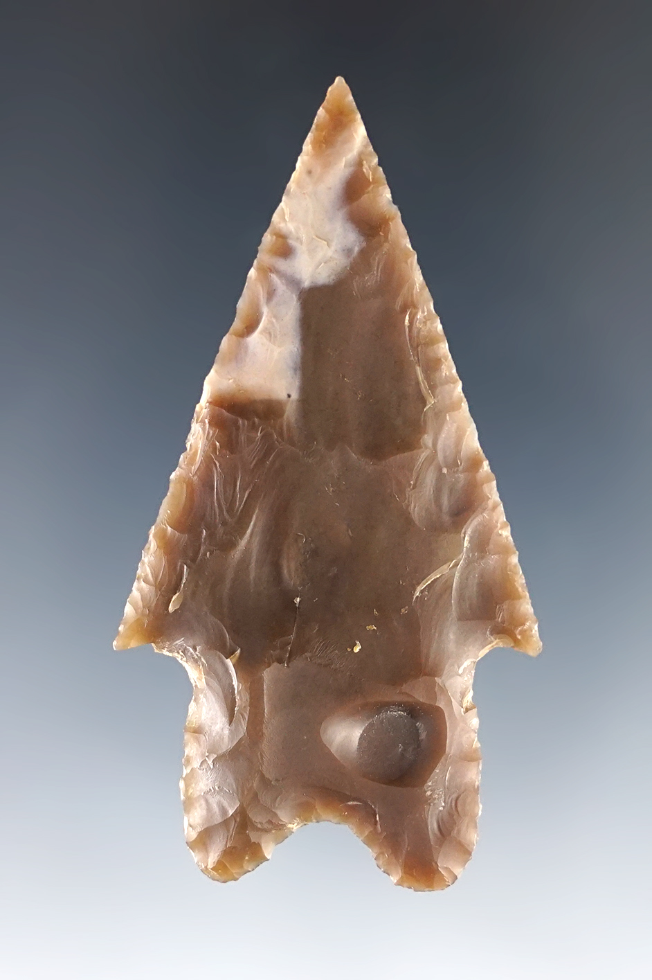 Well flaked 2 5/8" Texas Pedernales in excellent condition.