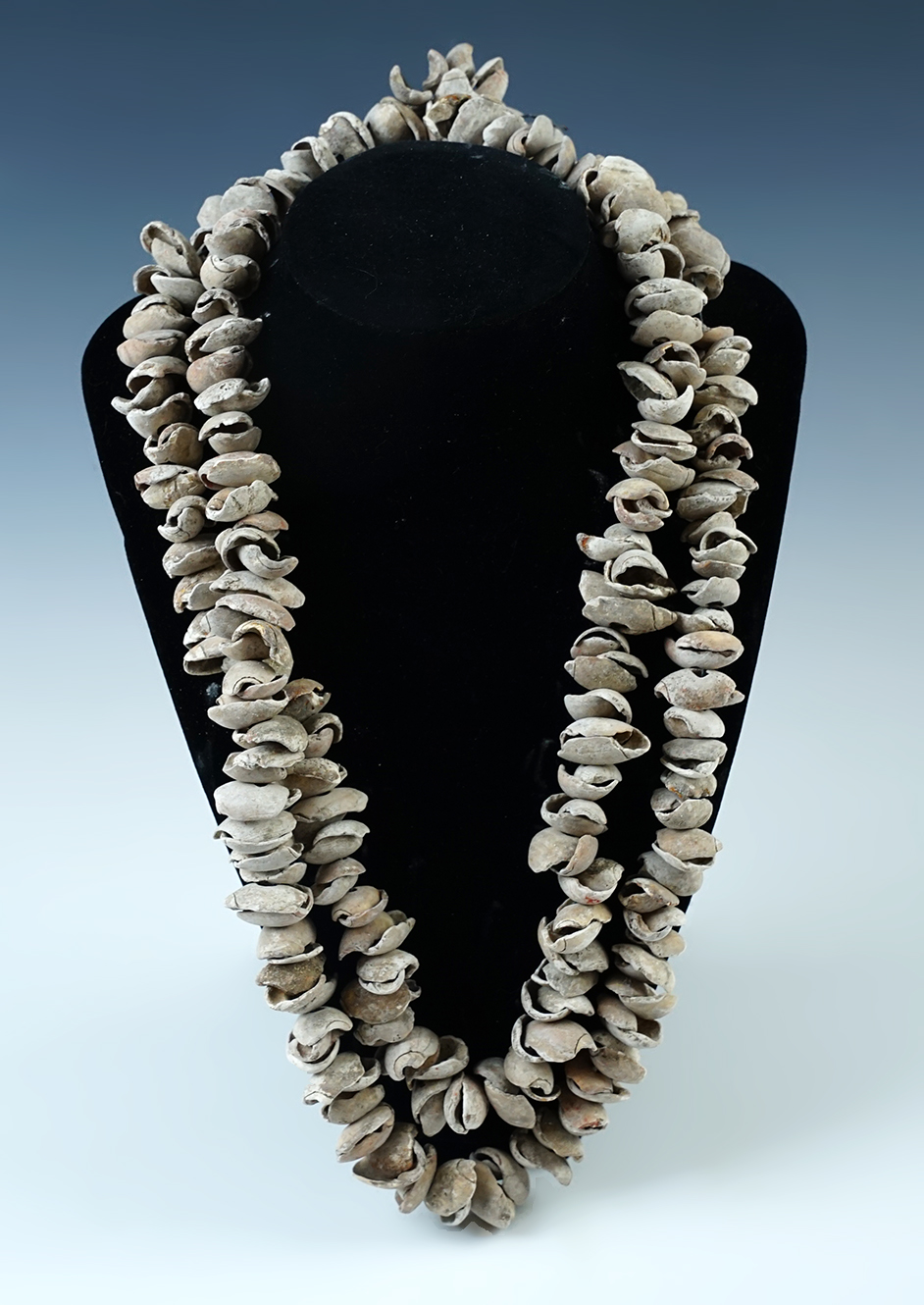 Very large 50" long strand of shell beads recovered in Colusa County California. Ex. Chris Ehrke. 