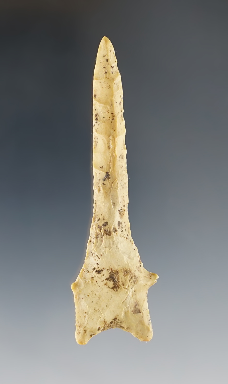 Fantastic Dalton Drill that measures 2 7/8". Found in Calloway Co., Kentucky.