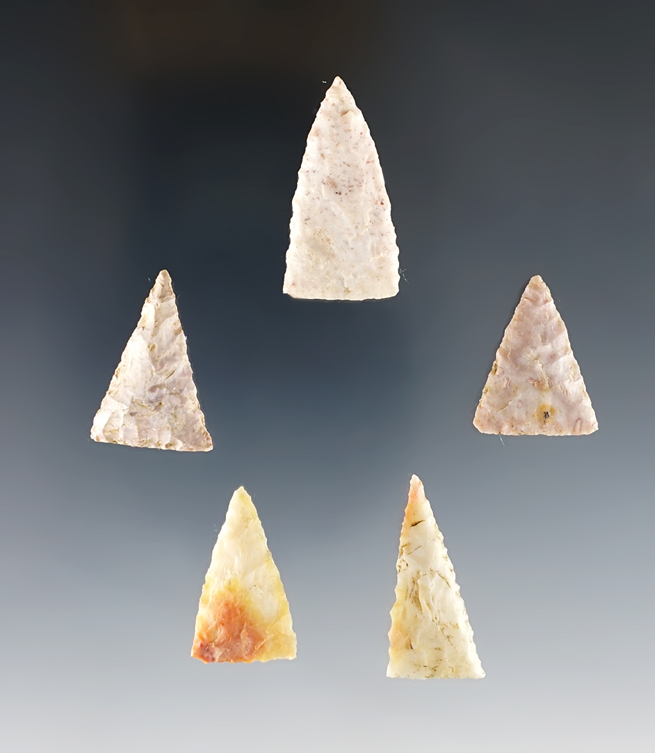 Set of 5 finely made Triangle points found in the Kentucky/Tennessee area. The largest is 1 5/16".