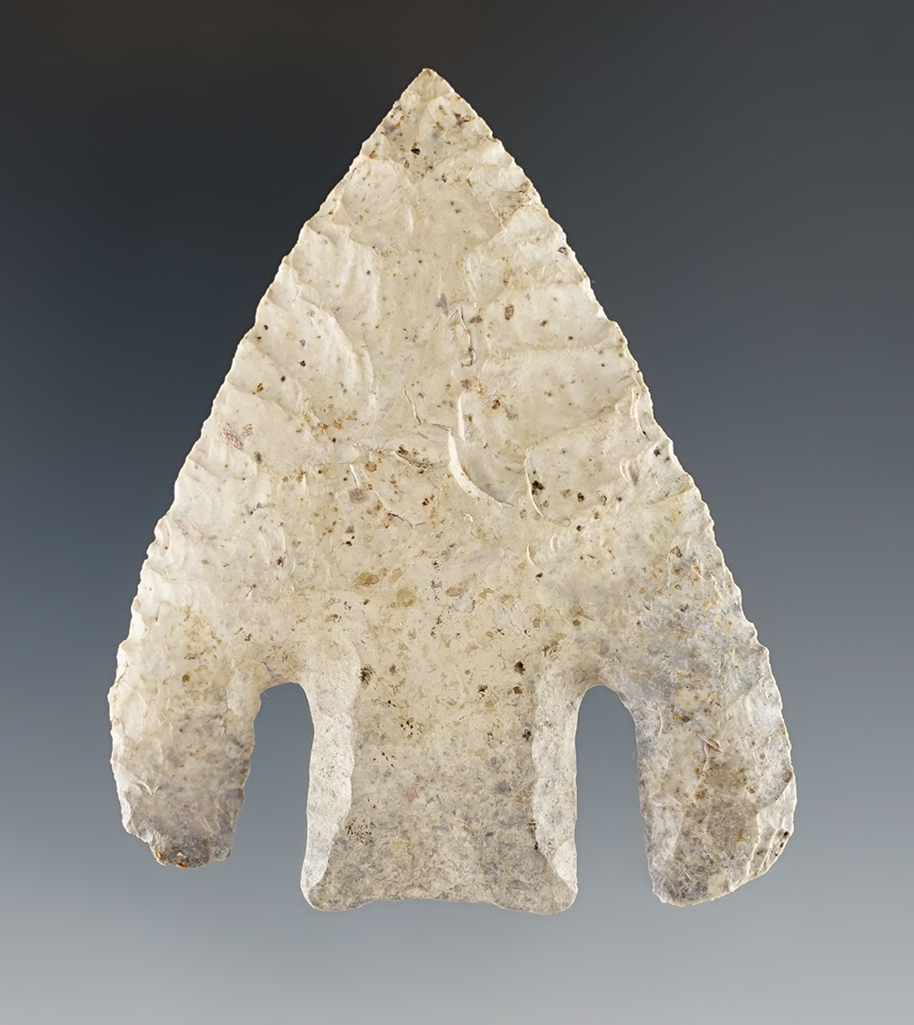 2 9/16" Texas Andice with restoration to entire base and the inside of both barbs.