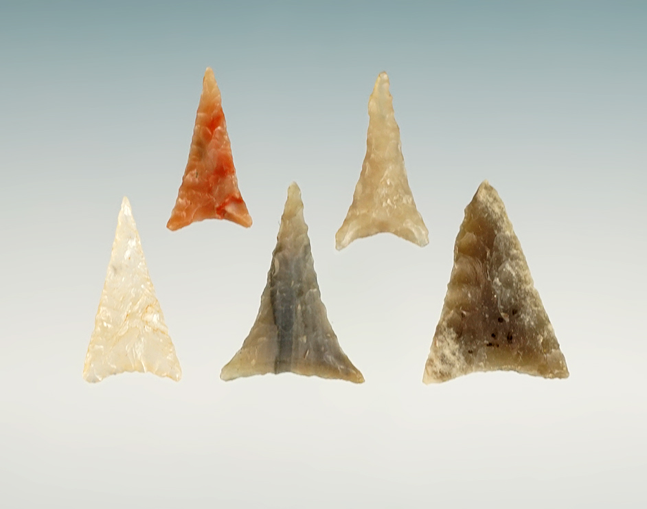 Set of 5 finely flaked Triangles found in the Kentucky/Tennessee area. The largest is 7/8".