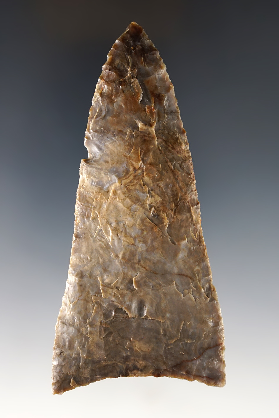 SUPERB! 4 1/8" Columbia Mule Ear Knife that is highly colorful - Oregon. Truly exceptional!