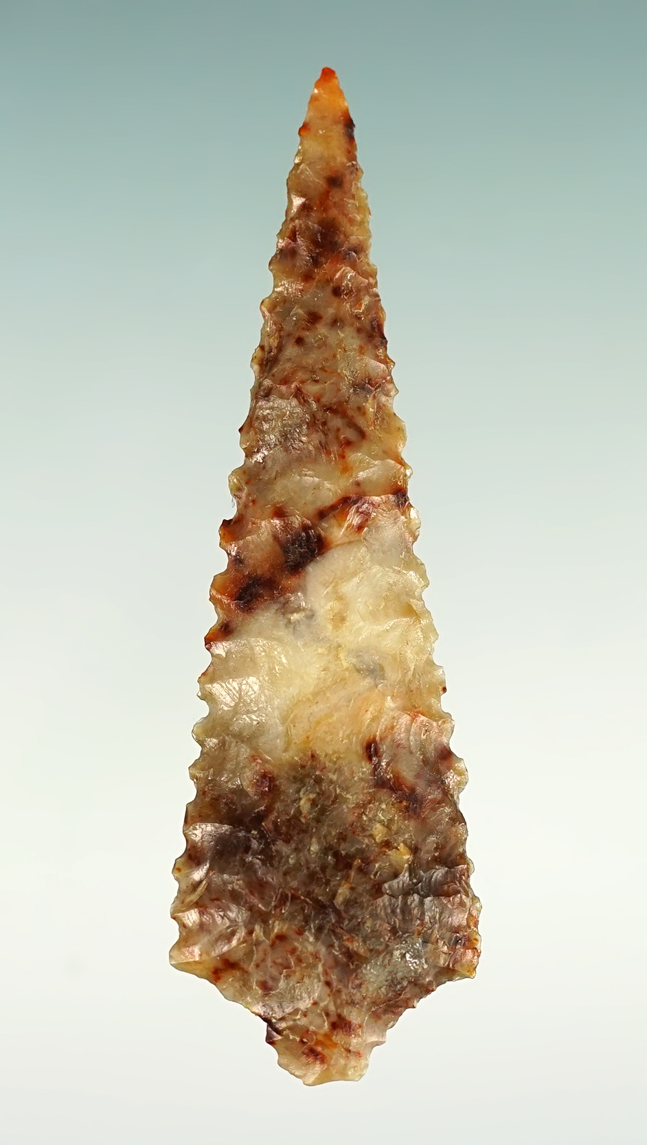 Nicely serrated & well made 1 15/16" Rabbit Island - Washington & Oregon area. Stermer COA.