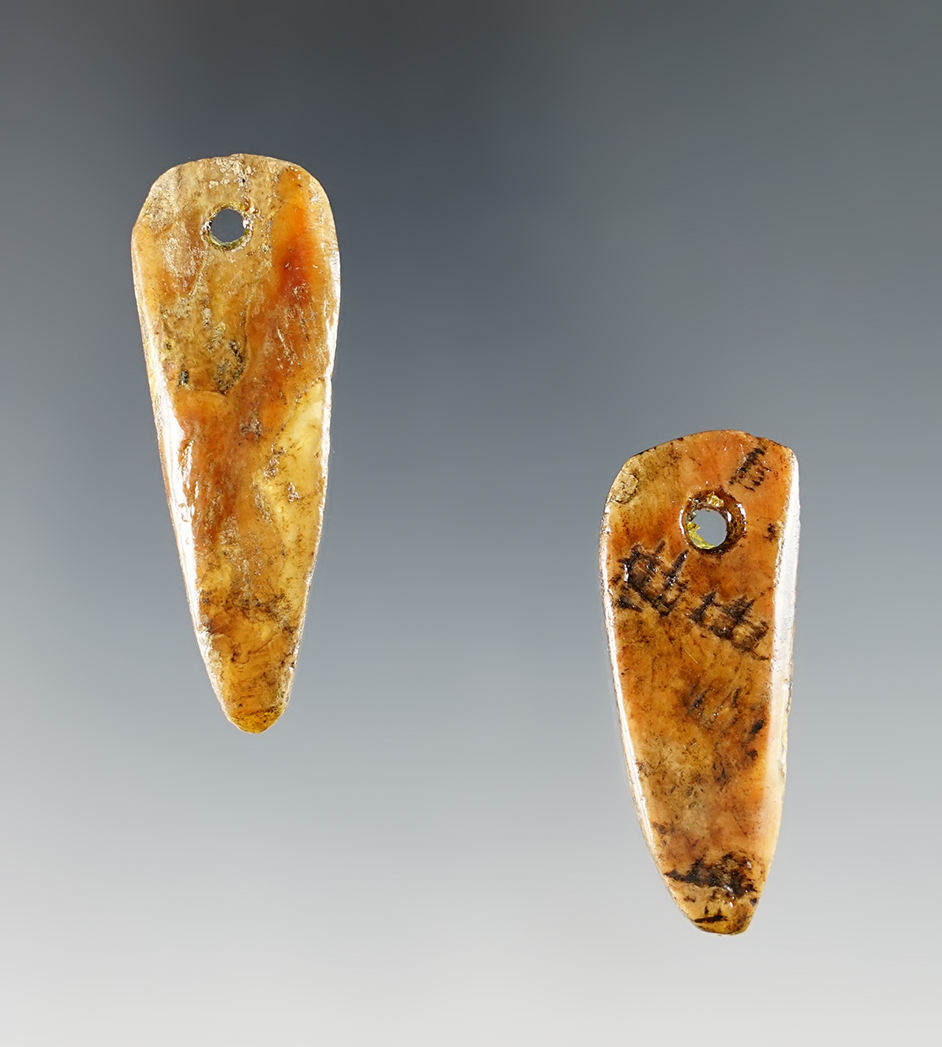 Pair of teardrop shaped shell pendants recovered in Colusa County California. Largest is 1 3/4". 