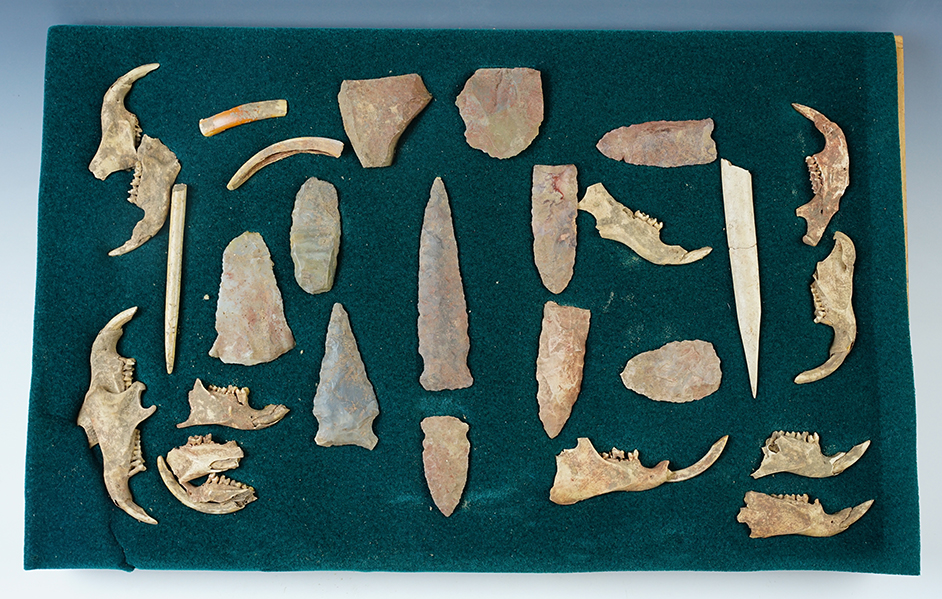 Framed group of artifacts and animal bone all found together at a site in Kentucky. 