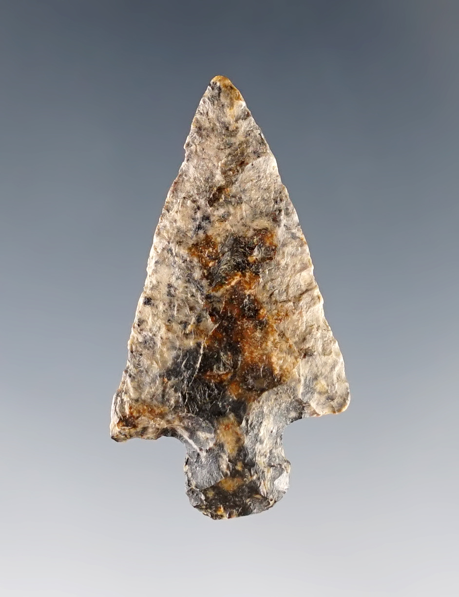 Nice 1 7/16" Stemmed Point found in Illinois. 