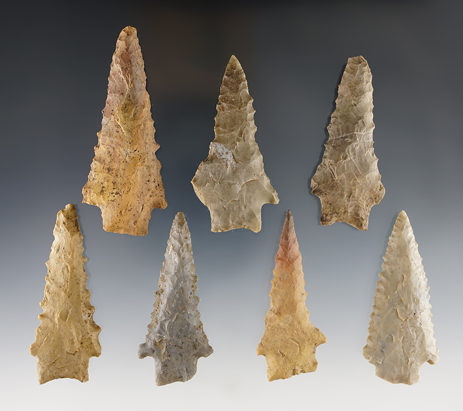 Set of 7 serrated Kirk points found by Joseph Dillion in Calloway Co., Kentucky. Largest is 3 1/8".
