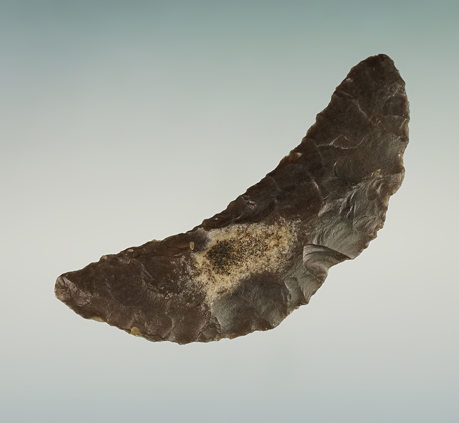 Classic style 2 11/16" Paleo butterfly Crescent - attractive green & yellow Flint. Nevada. 