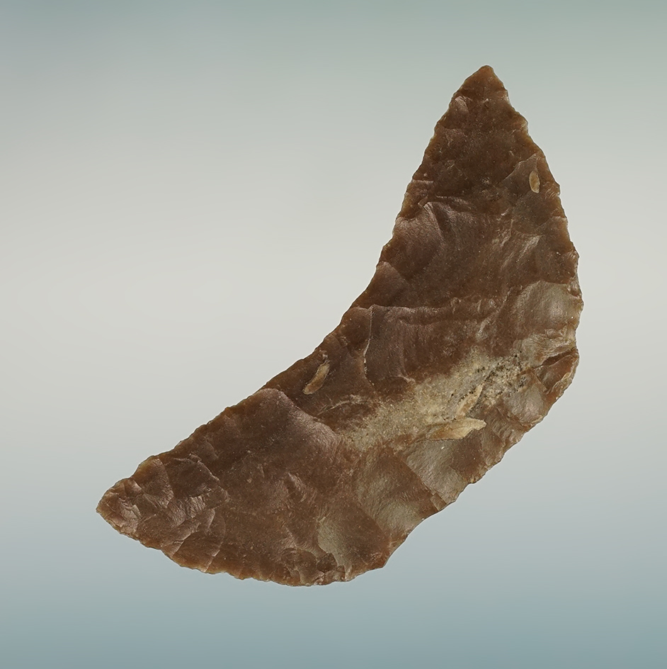 Sale highlight! Perfect style - large-for-type 2 11/16" Paleo butterfly Crescent - Nevada.