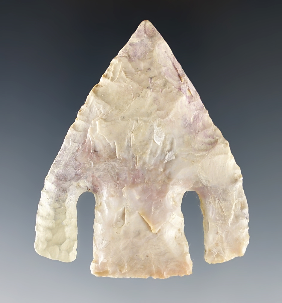 2 3/8" Texas Andice with restoration to the tip and one barb. Comes with a Davis COA.