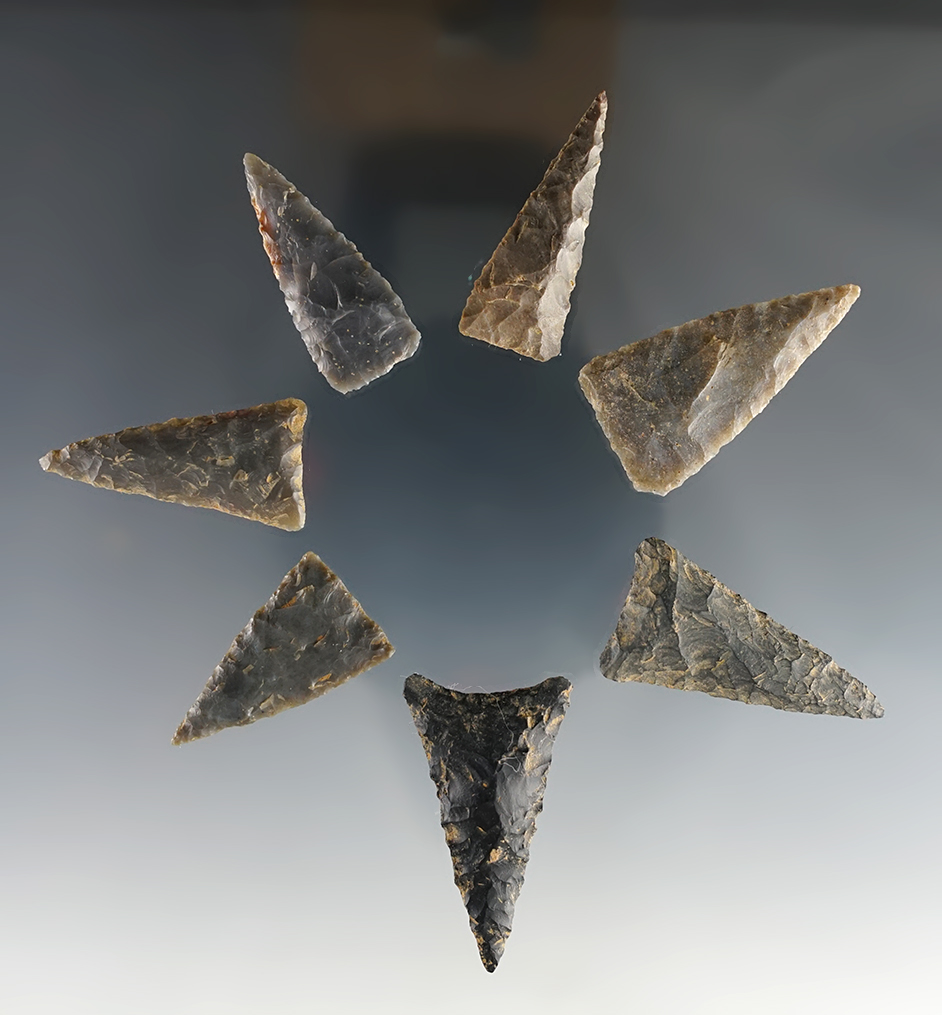 Set of 7 assorted Triangle points found in the Kentucky/Tennessee area. The largest is 1 1/2".
